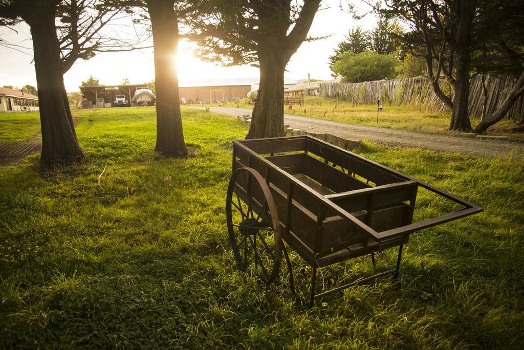 Estancia Río de Los Ciervos Punta Arenas Exterior foto