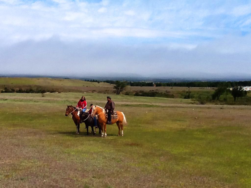 Estancia Río de Los Ciervos Punta Arenas Exterior foto
